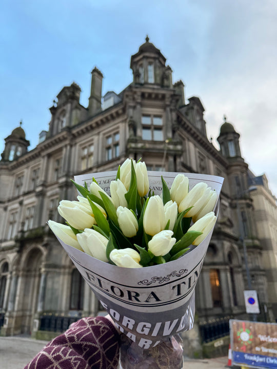 Moonlight Tulip Serenade: Elegant White Tulips Fresh Flower Bouquet