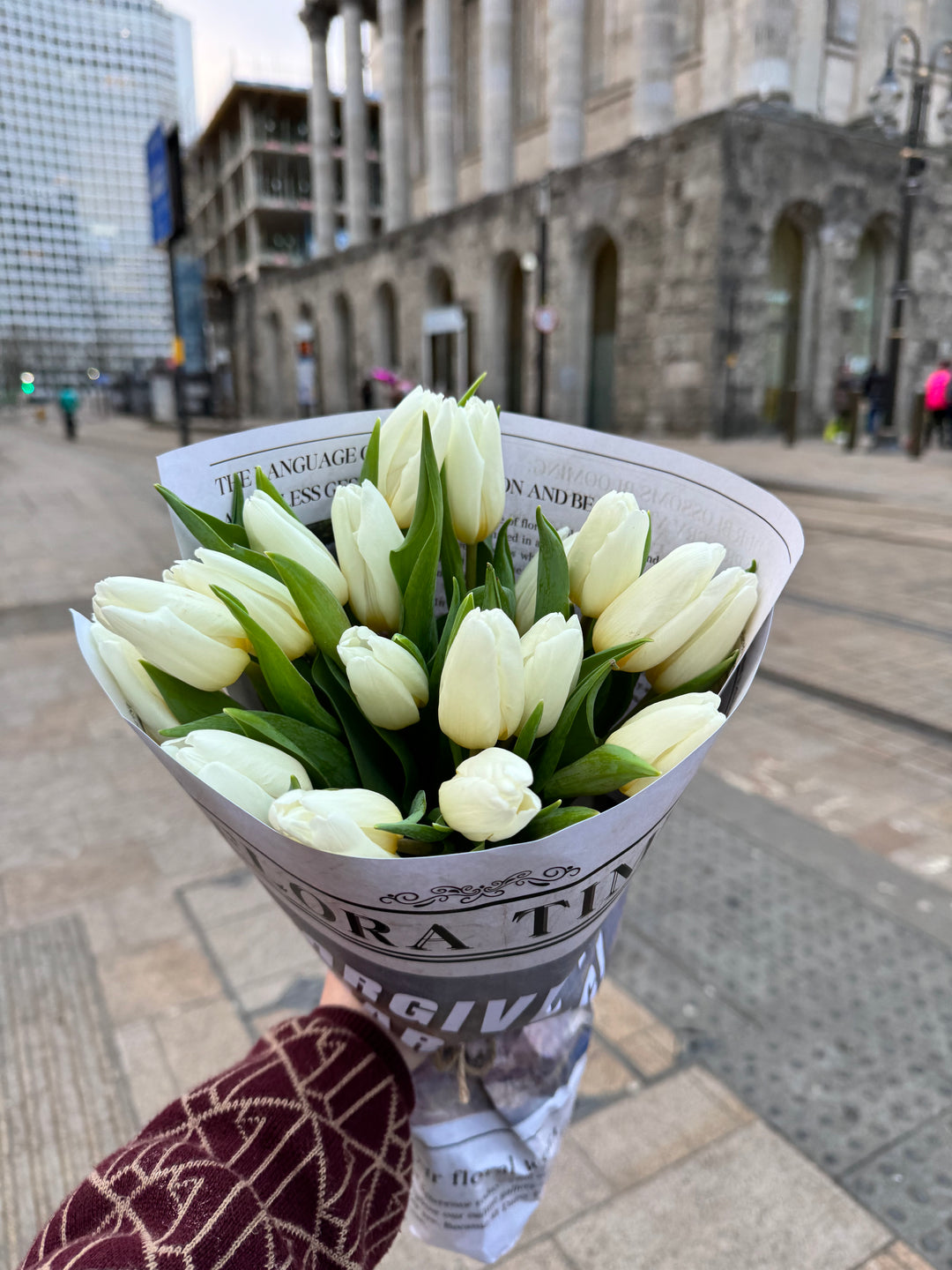 Moonlight Tulip Serenade: Elegant White Tulips Fresh Flower Bouquet