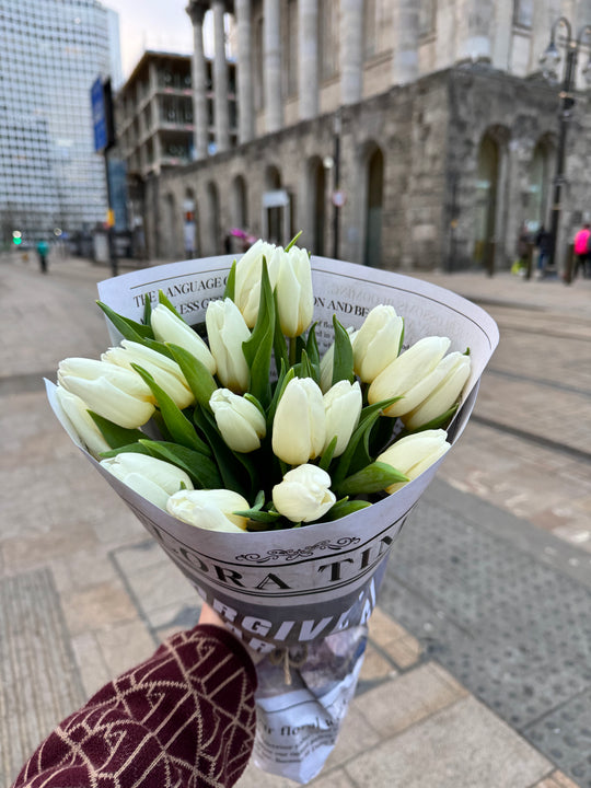 Moonlight Tulip Serenade: Elegant White Tulips Fresh Flower Bouquet