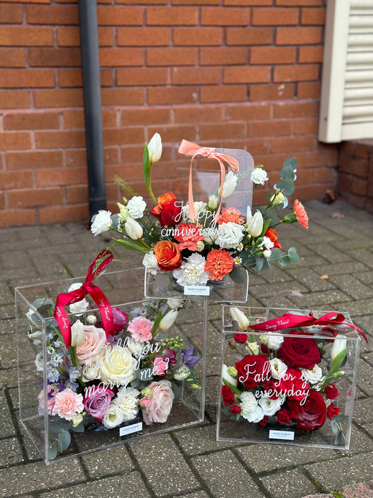 Red and White Fresh Flowers in small Mica Box (24x27x15cm) | Daisy Florist