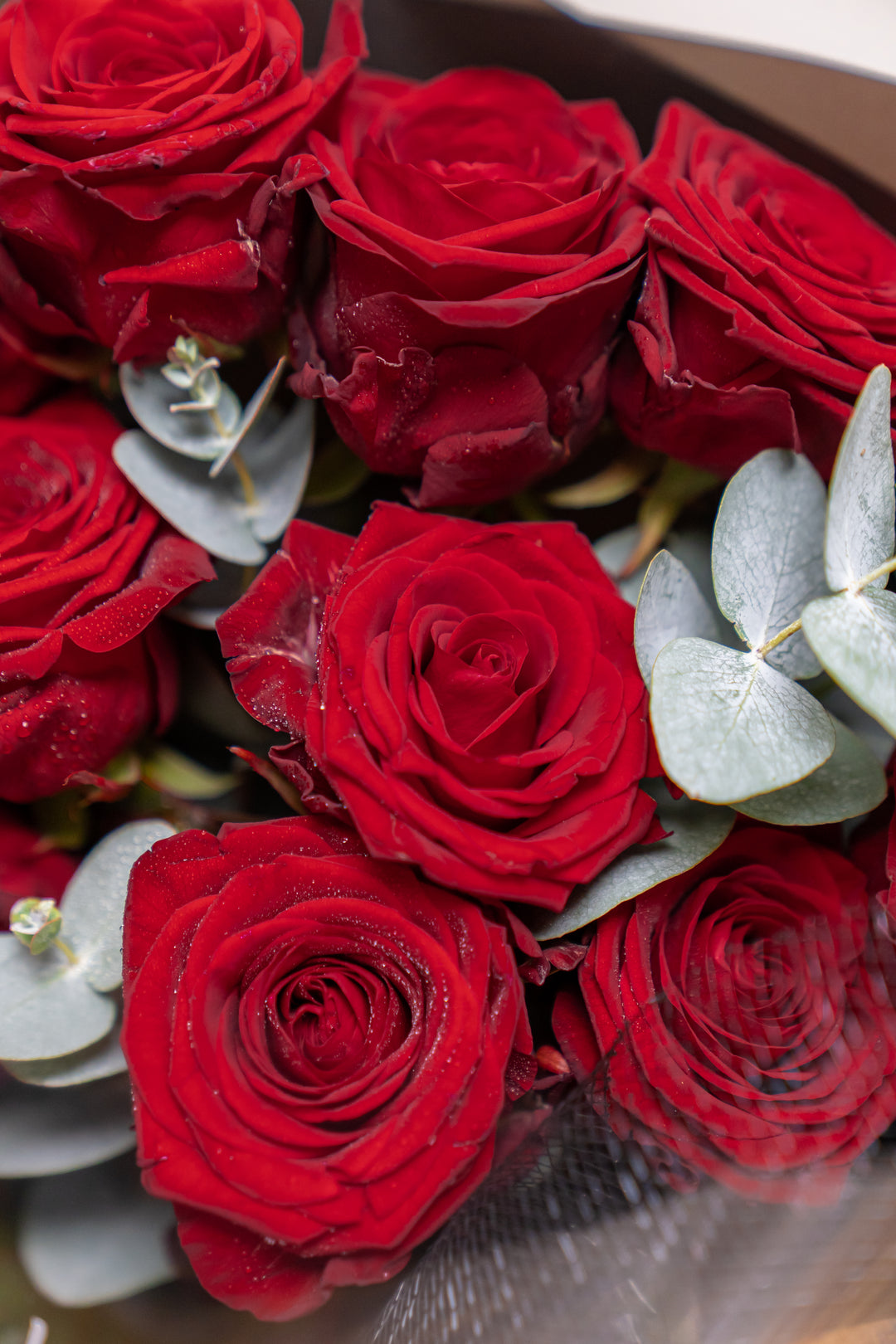 Romantic Red Rose Bouquet | Daisy Florist