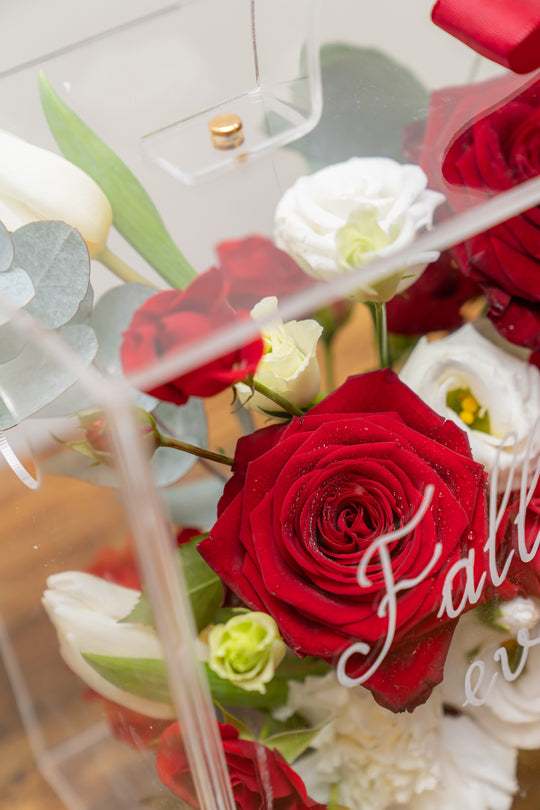 Red and White Fresh Flowers in small Mica Box (24x27x15cm) | Daisy Florist