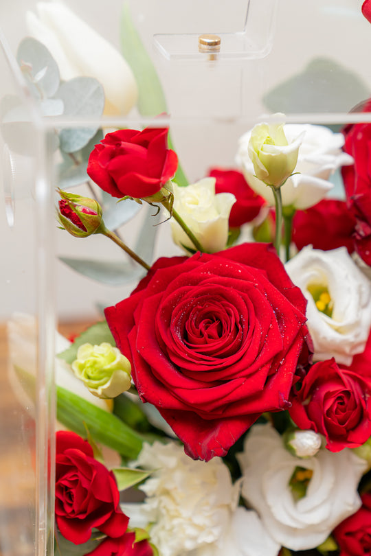 Red and White Fresh Flowers in small Mica Box (24x27x15cm) | Daisy Florist