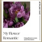 Mini Card – Elegant Touch for Every Bouquet
